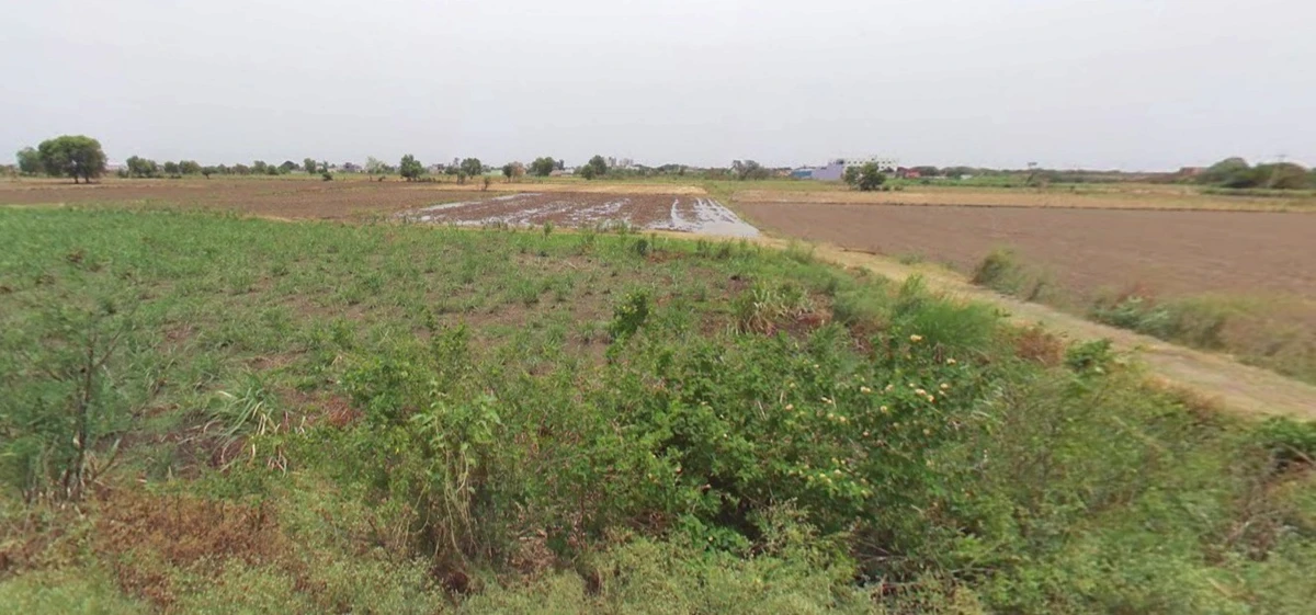 Seoni, Madhya Pradesh 480661, India