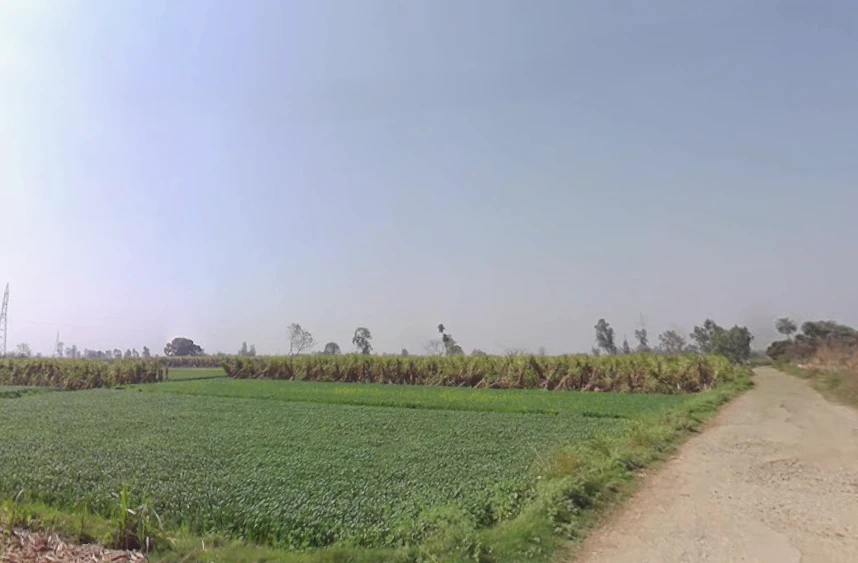 Mawana, Uttar Pradesh, India