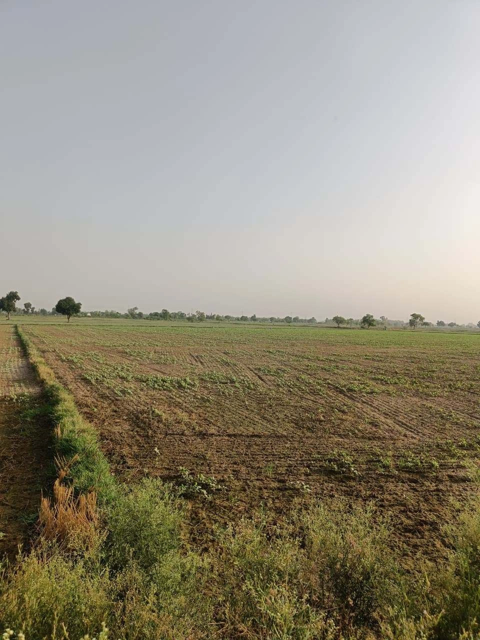 Tentigaon, Uttar Pradesh, India
