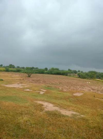 MH5J+R92, Jaipur, Ladana, Rajasthan 303005, India preview 3