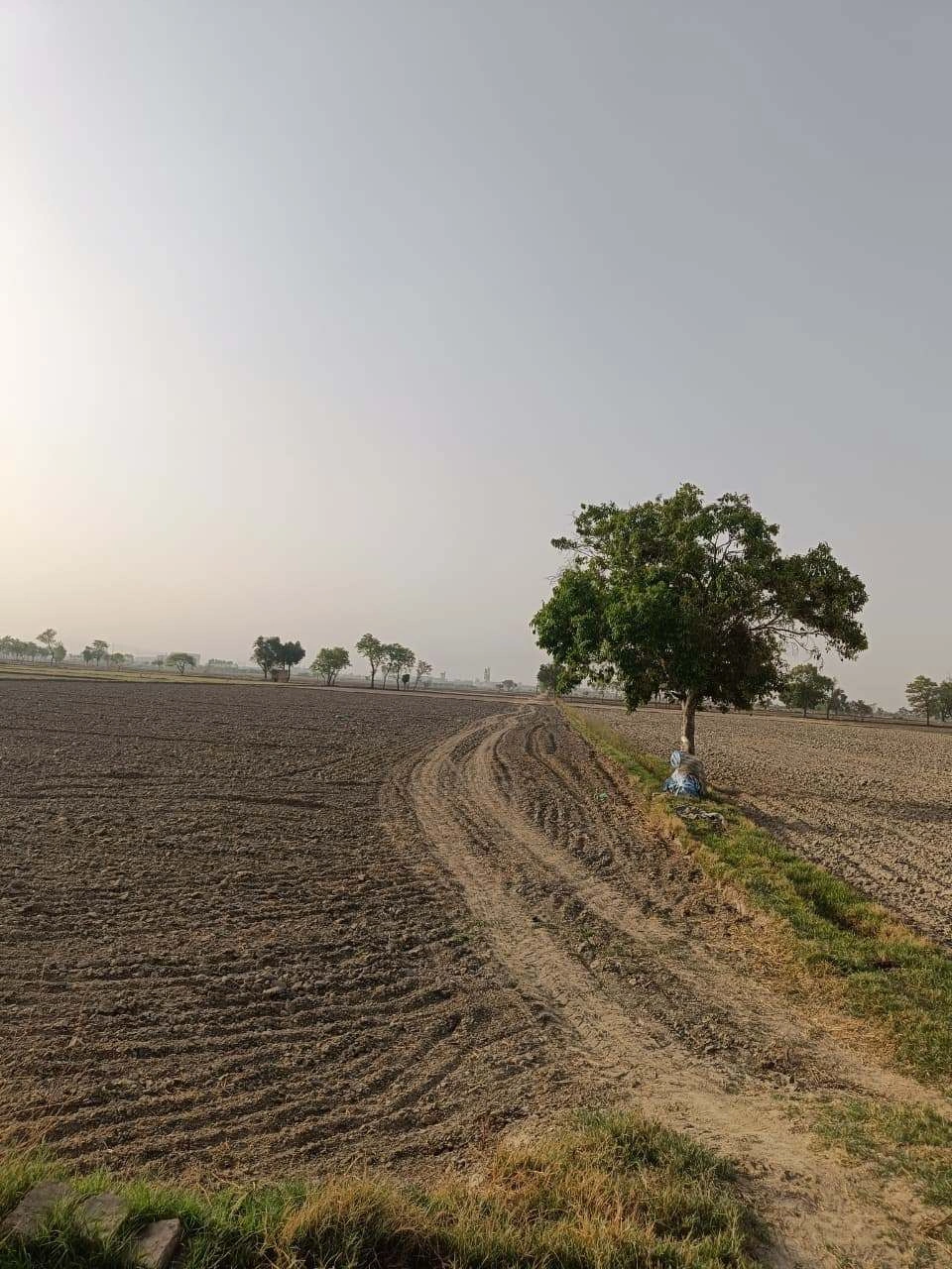Tentigaon, Uttar Pradesh, India