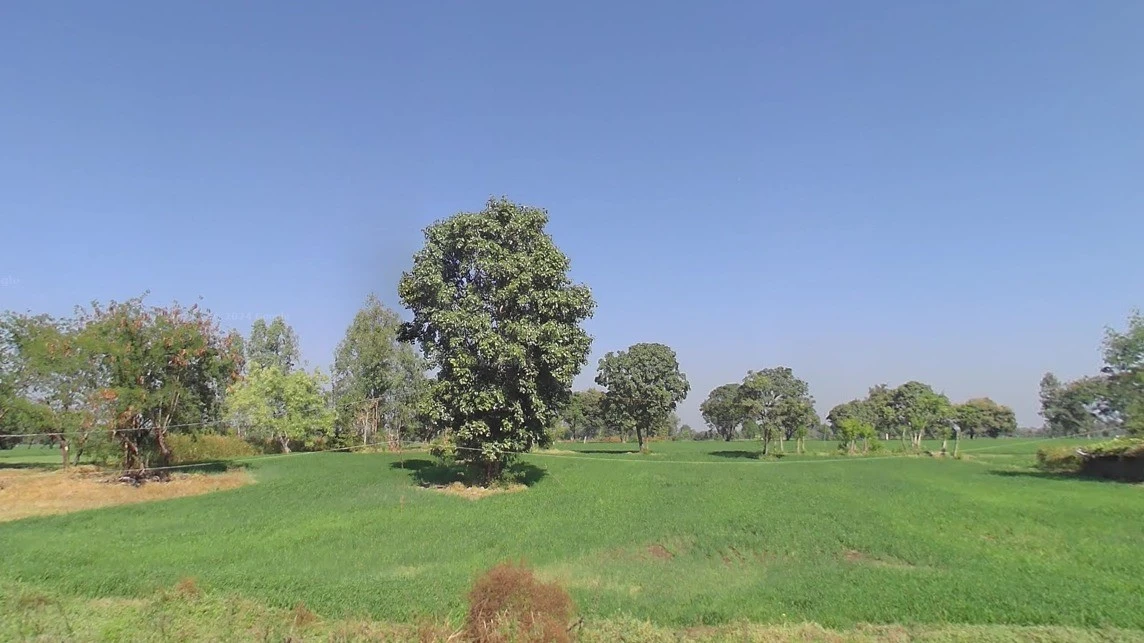 Borda, Madhya Pradesh, India