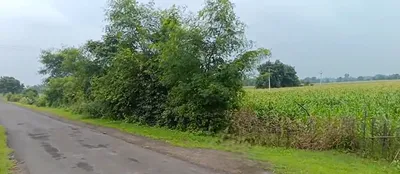 2R8M+VFR, Indore, Barodiya Khan, Madhya Pradesh 453551, India preview 3