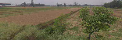 Moradabad Bypass Rd, Gannor Deya Mafi, Uttar Pradesh, India preview 2