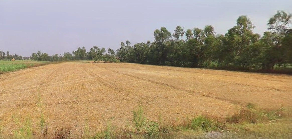 Ramnagar, Uttarakhand 244715, India