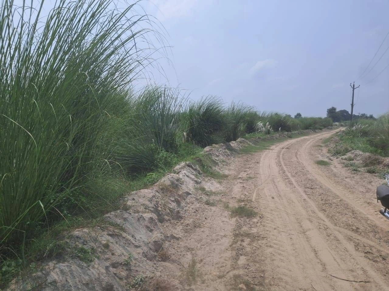 P7Q6+VG Rampur Halwaramanjha, Ayodhya, Uttar Pradesh, India