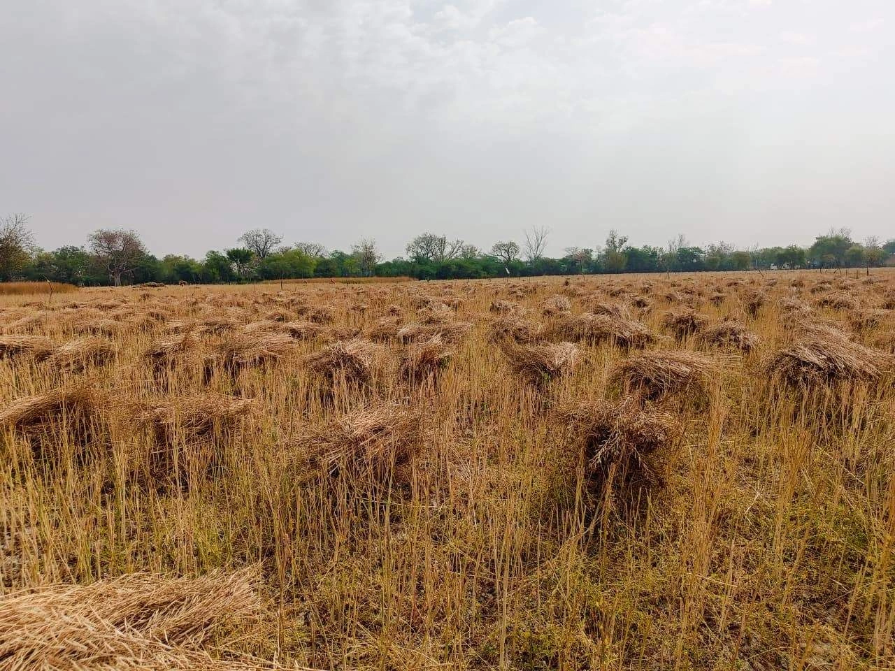 Gharwari, Rajasthan 321201, India