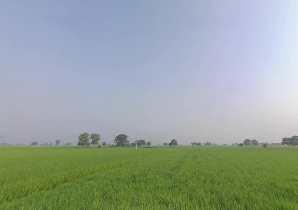 Rama, Punjab 142039, India