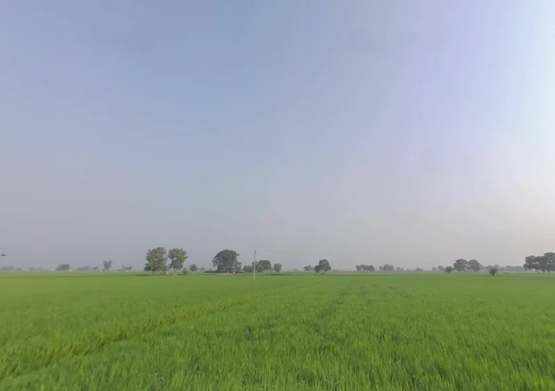 Rama, Punjab 142039, India preview 2