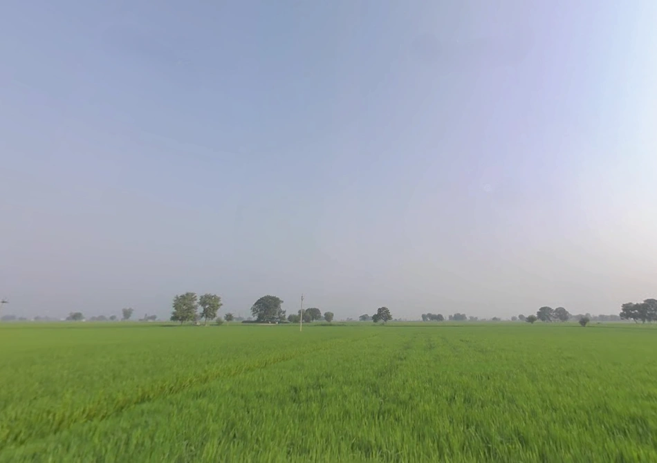 Rama, Punjab 142039, India