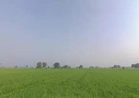 Rama, Punjab 142039, India preview 2