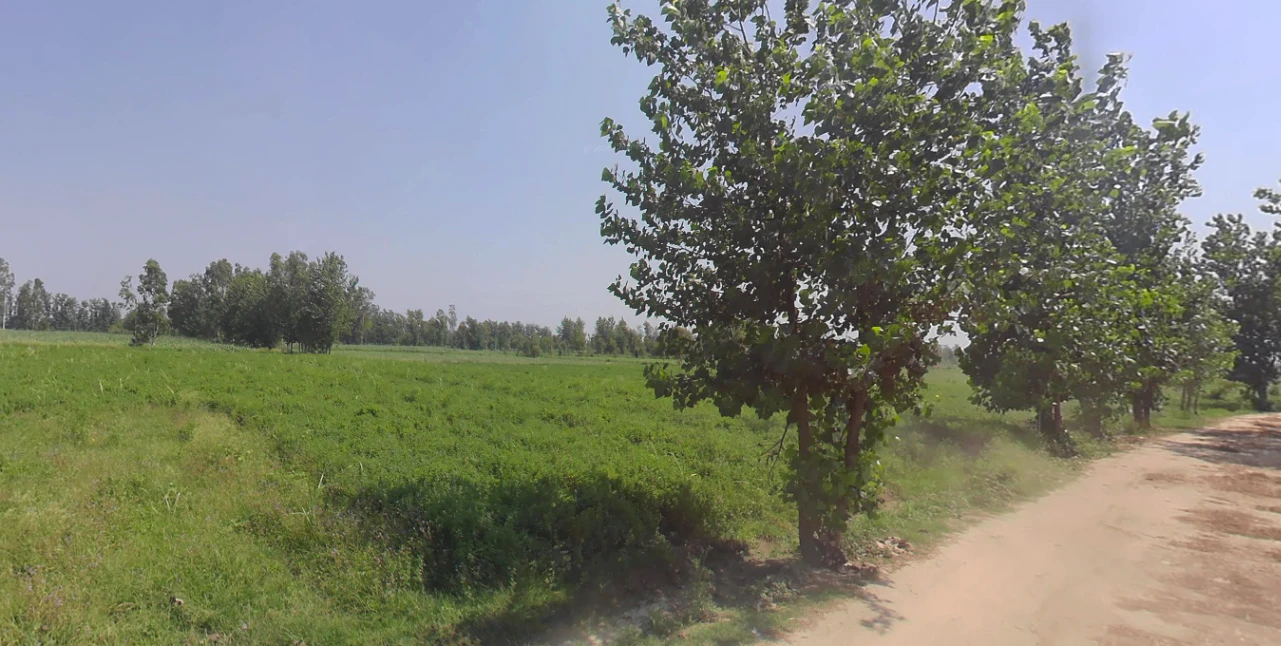 Hasanpur, Uttar Pradesh 244241, India
