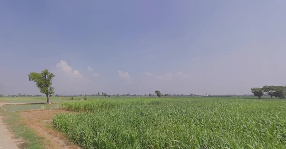 Panpur, West Bengal 711401, India