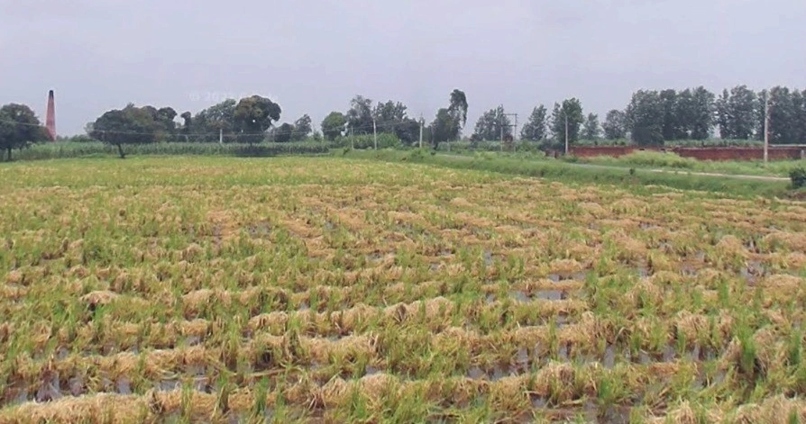 Chintaman Ganesh Mandir, Ujjain, Ratnakhedi, Madhya Pradesh 456006, India