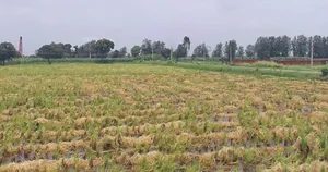 Chintaman Ganesh Mandir, Ujjain, Ratnakhedi, Madhya Pradesh 456006, India preview 2