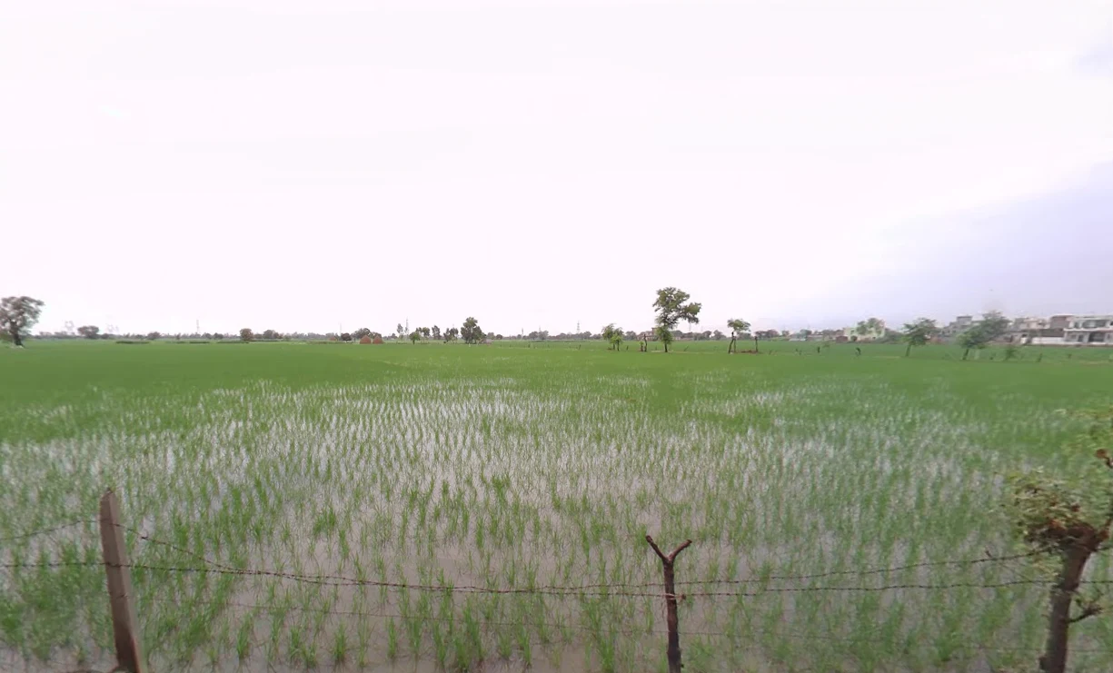 Theh Newal, Haryana 136034, India preview 3