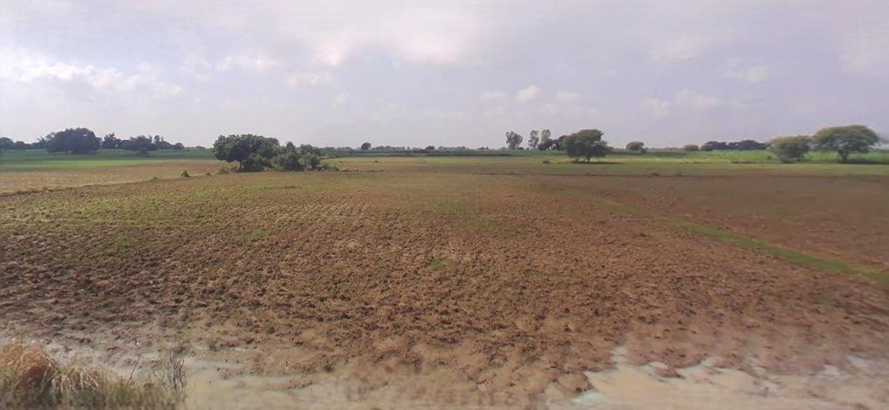 Barnagar, Madhya Pradesh 456771, India preview 2