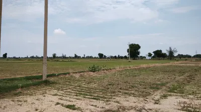 RWPR+43C, Kharkhoda, Haryana 131402, India preview 3
