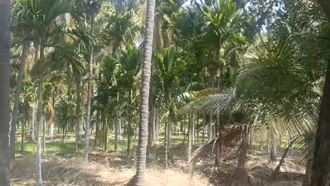 Hiriyur, Karnataka, India