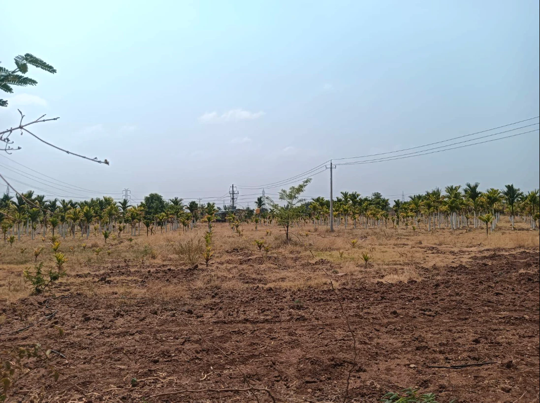 Hiriyur, Karnataka, India