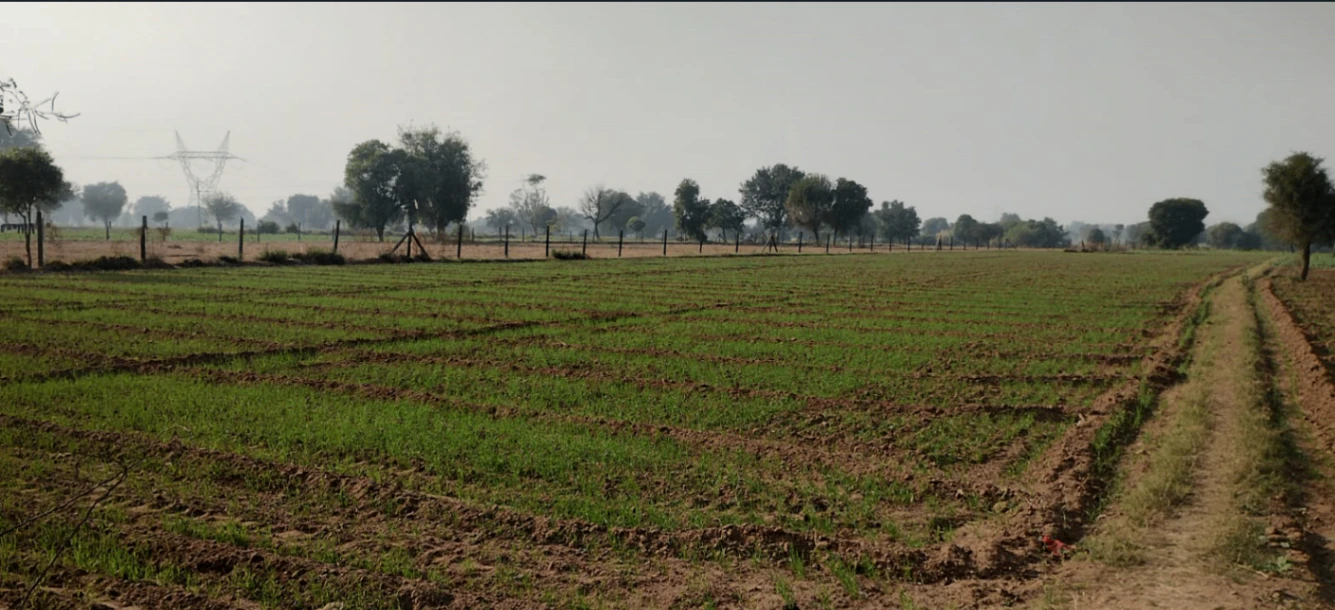 Kiloda, Shajapur, Madhya Pradesh 465227, India