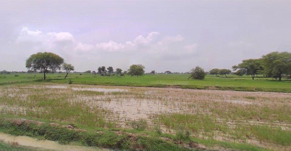 Simbhaoli, Uttar Pradesh 245207, India