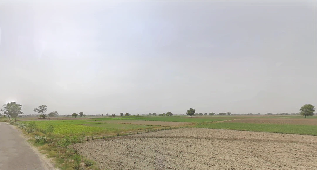 Tharia, Haryana 131001, India
