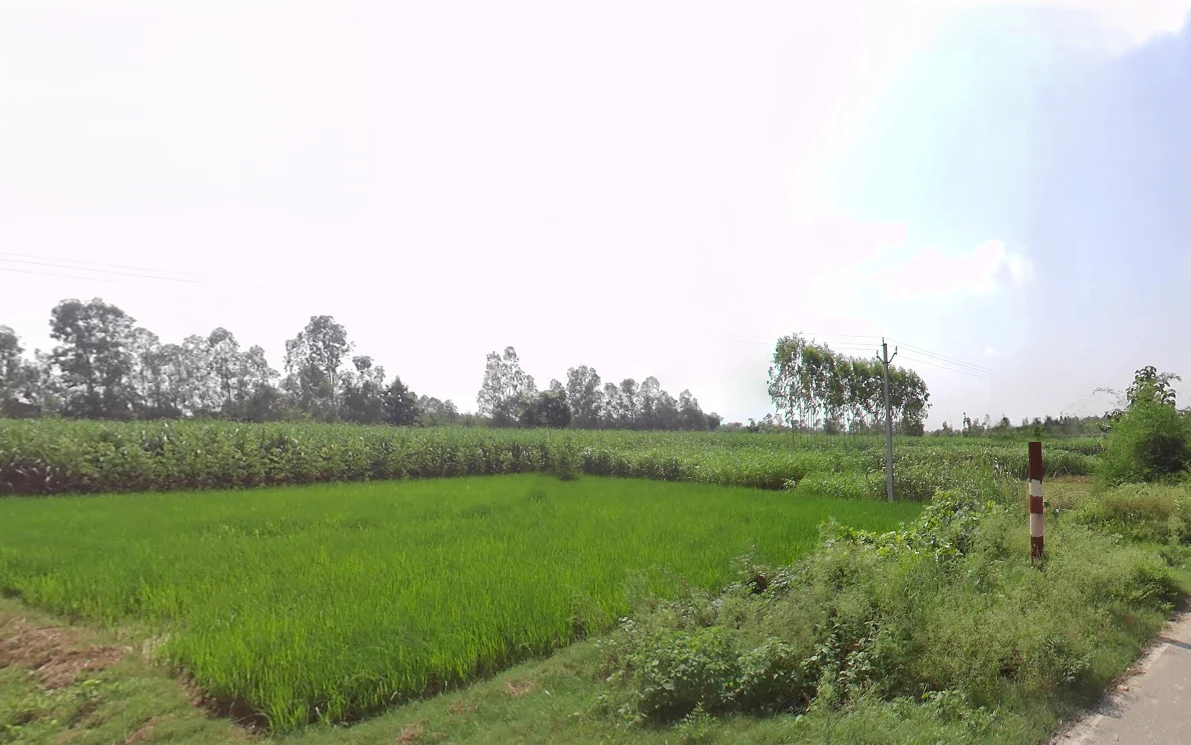 Bhagwanpur, Uttarakhand 247661, India