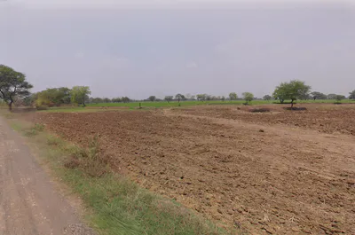 Siltara, Chhattisgarh 491111, India preview 3