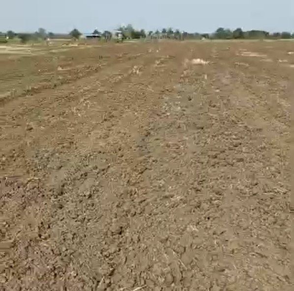 Shekhpura, Meerut, Uttar Pradesh 250002, India
