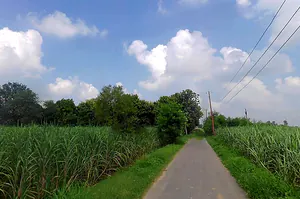 Saidpur, Uttar Pradesh 203411, India preview 3