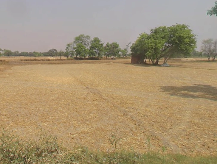 Bhaipur, Uttar Pradesh 203141, India