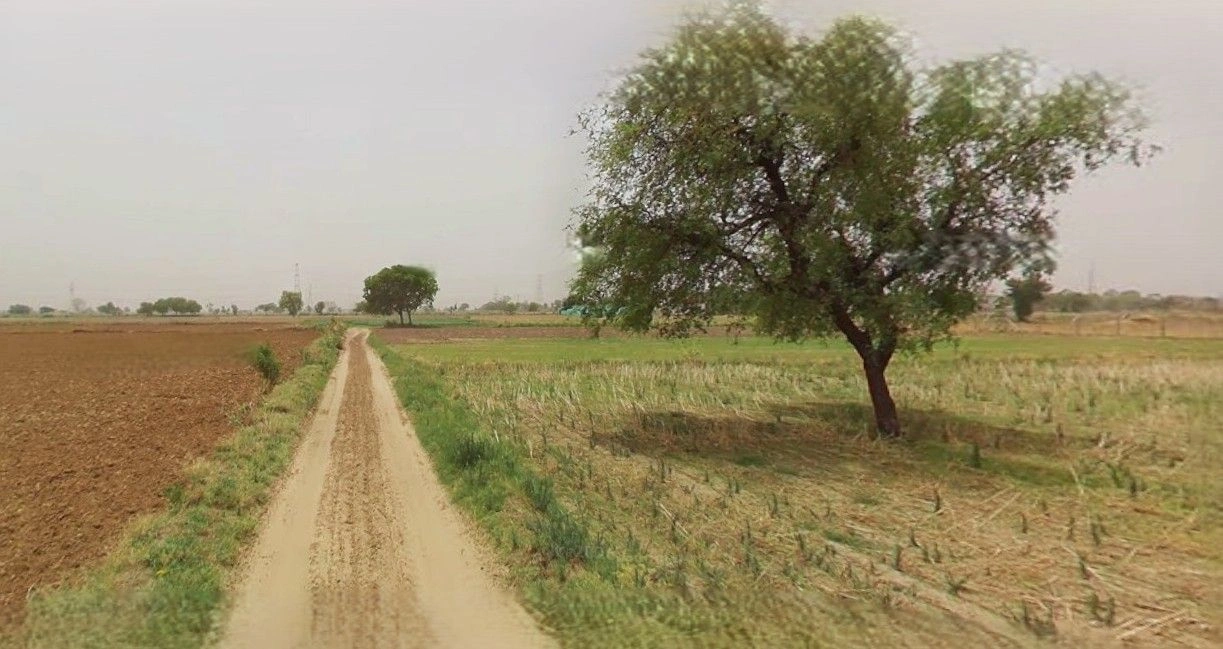 Barnagar, Madhya Pradesh 456771, India