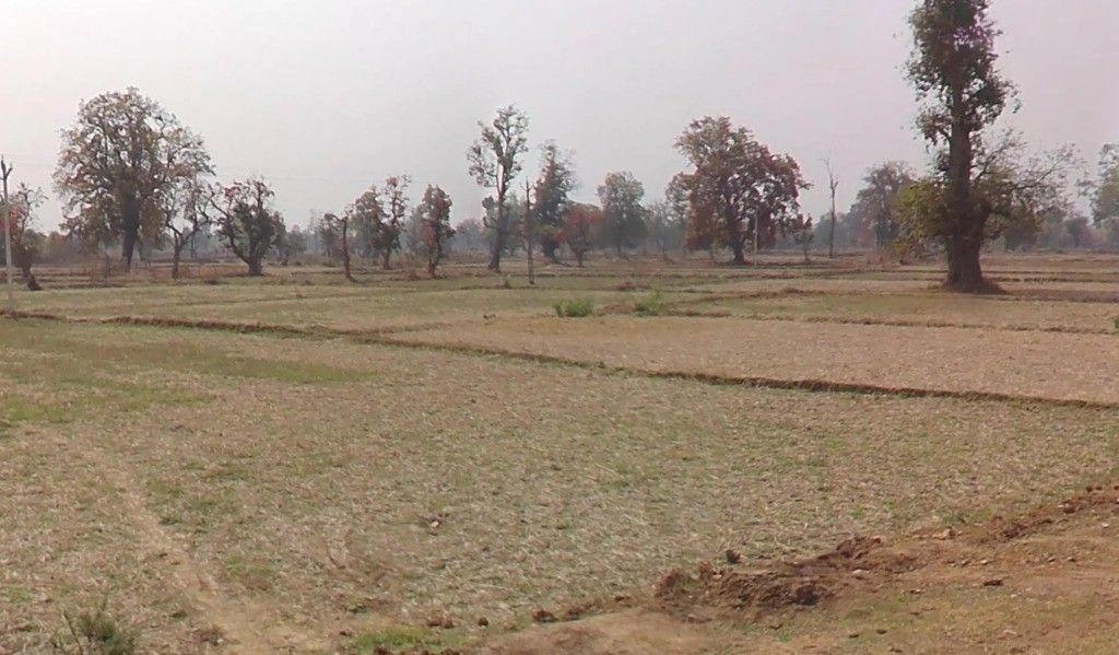 Kota, Chhattisgarh 493114, India