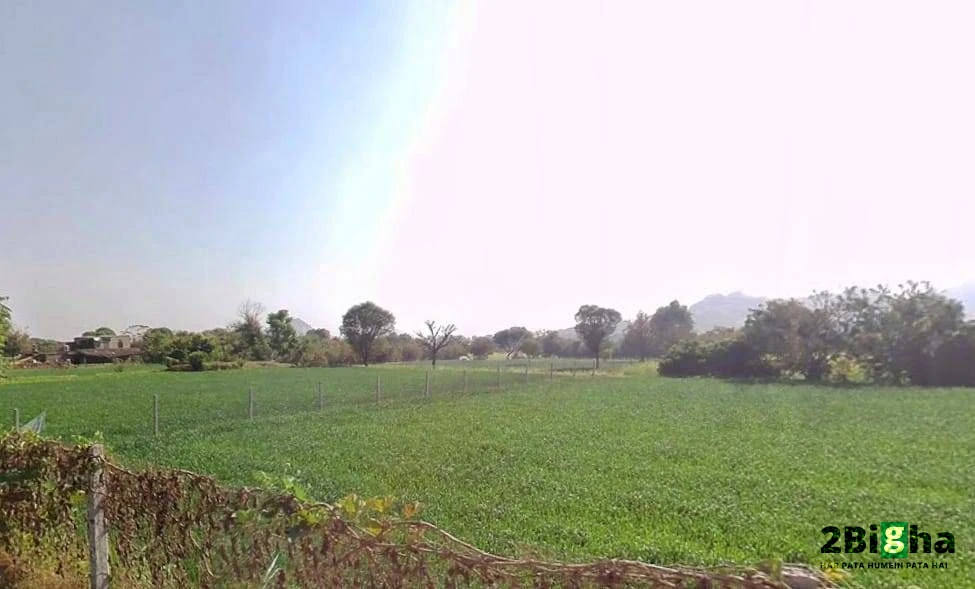 Chakmanoharpur, Rajasthan 303104, India