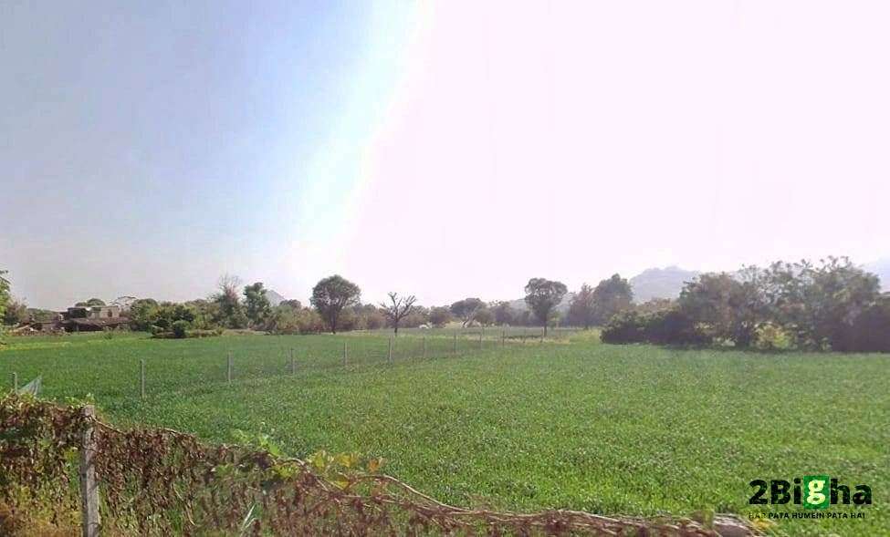 Chakmanoharpur, Rajasthan 303104, India