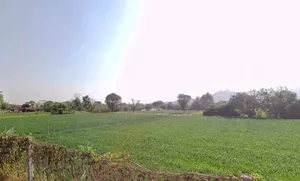 Chakmanoharpur, Rajasthan 303104, India preview 2