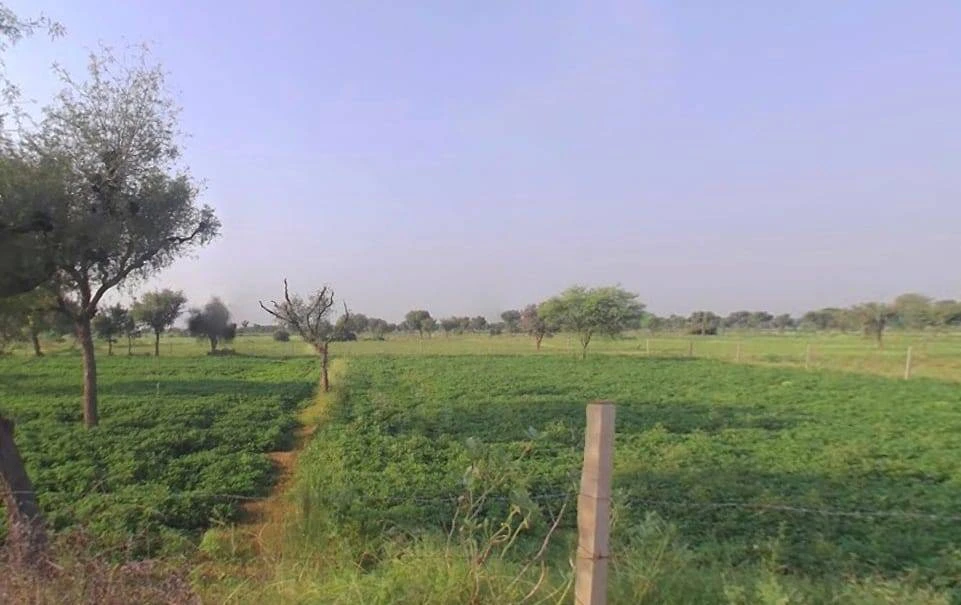 Vedaant Gyan Valley, Village-Jharna, Mahala Jobner Link Road, Jaipur Ajmer Express Way, NH-8, Vedant Gyan Velly, Jharna, Rajasthan 303122, India