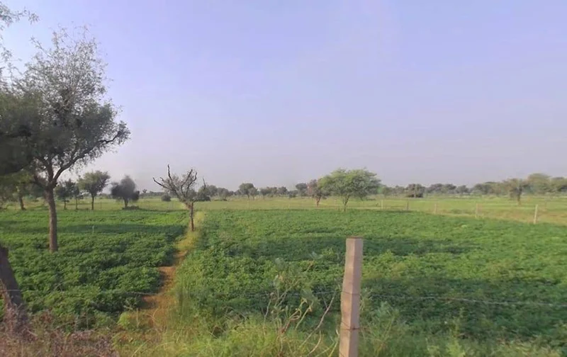 Vedaant Gyan Valley, Village-Jharna, Mahala Jobner Link Road, Jaipur Ajmer Express Way, NH-8, Vedant Gyan Velly, Jharna, Rajasthan 303122, India preview 2