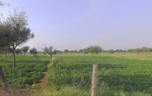 Vedaant Gyan Valley, Village-Jharna, Mahala Jobner Link Road, Jaipur Ajmer Express Way, NH-8, Vedant Gyan Velly, Jharna, Rajasthan 303122, India preview 2