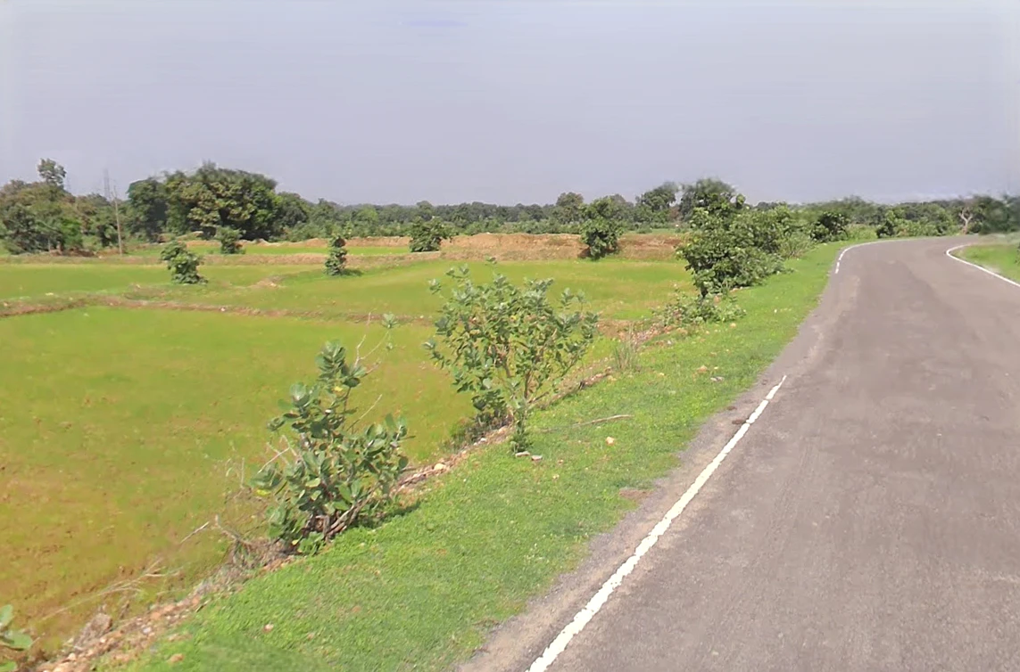 Jewara, Chhattisgarh 491335, India