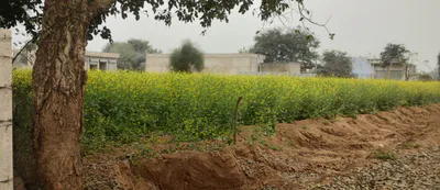 Tatarpur, Uttar Pradesh, India preview 2
