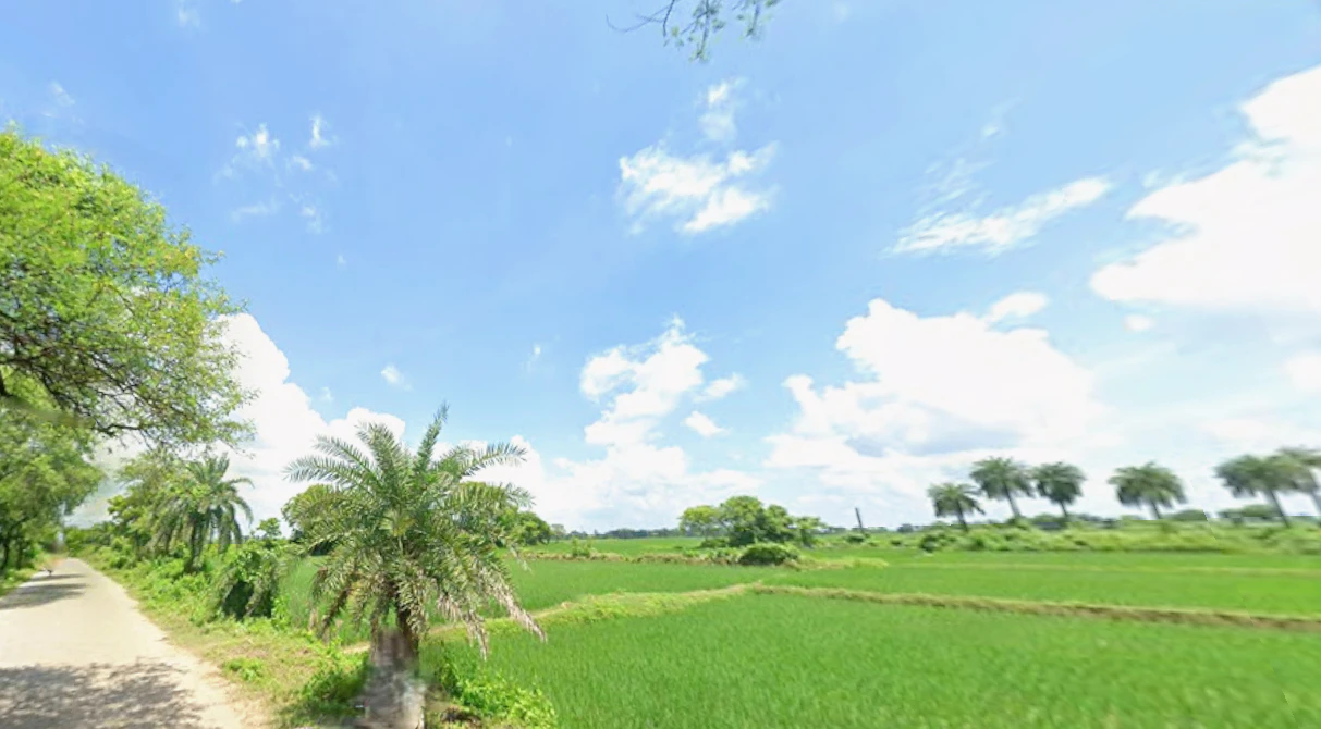 Barjora, West Bengal 722202, India