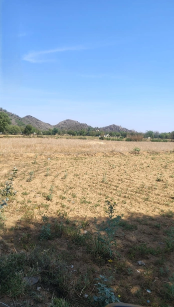 2VCC+P8V, Bhatkol, Khidarpur, Rajasthan 301411, India preview 3