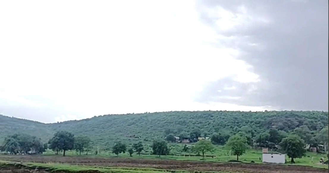 CHFM+82J, Ambari, Madhya Pradesh 464651, India