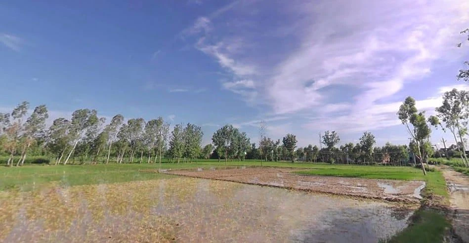 Puwarka, Saharanpur, Uttar Pradesh 247001, India