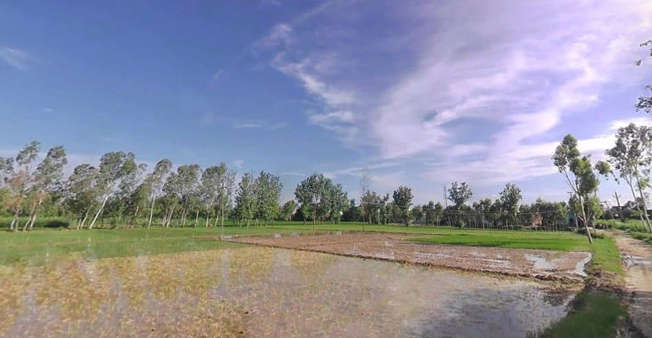 Puwarka, Saharanpur, Uttar Pradesh 247001, India