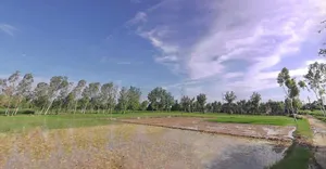 Puwarka, Saharanpur, Uttar Pradesh 247001, India preview 2