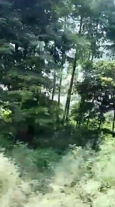 CRH5+446, Sitapur, Sultanpur Kamacha, Uttar Pradesh 261302, India