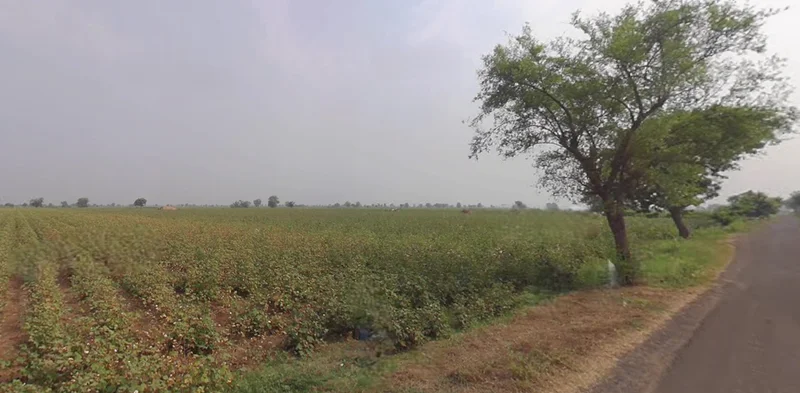 8MHQ+3X Pindharada, Gujarat, India preview 3